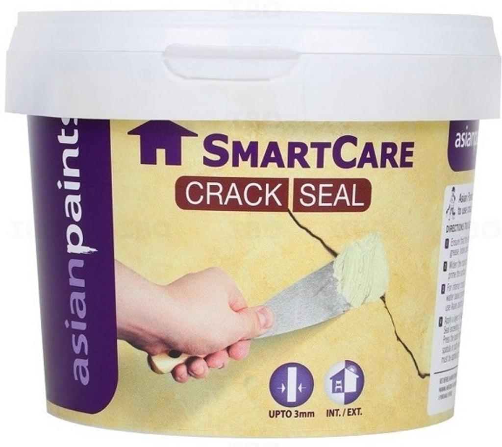 Asian Paints Crack Seal